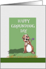 Happy Groundhog Day, Cute Groundhog card