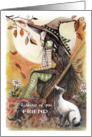 to friend, thinking of you, Witch and Siamese Cat card