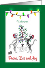 Cats and Santa Hats , Lights, Peace, Love and Joy card
