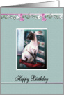 Siamese Cat, Happy Birthday card