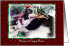 Sleeping Christmas Fairy and Kitty card