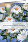 Wish for Speedy Recovery, Daisy ART card