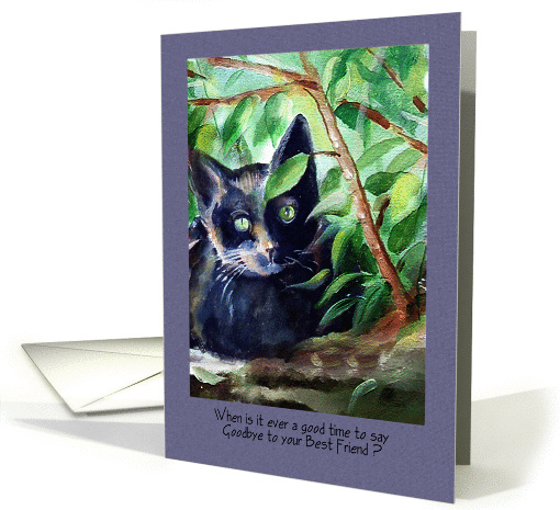 Sympathy for loss of Cat card (1294178)