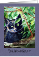 Sympathy for loss of Cat card