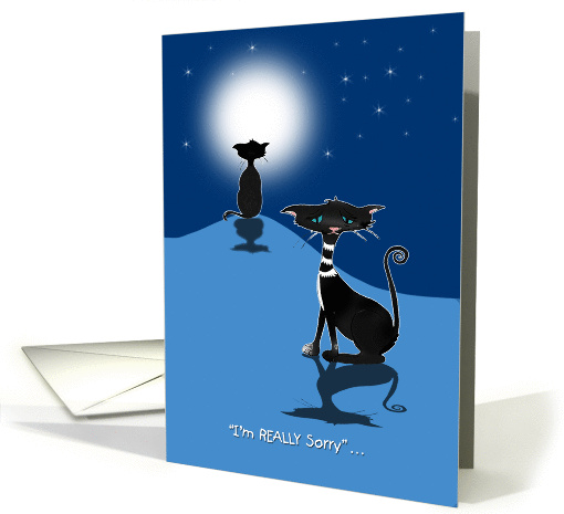 Two Cats in the Moonlight, One Really Sorry card (1309794)