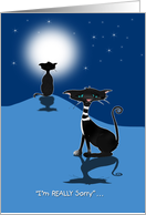 Two Cats in the Moonlight, One Really Sorry card