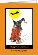 Happy Halloween to young Granddaughter, little Witch card