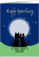 Happy Anniversary,Cats in the moonlight, blank card