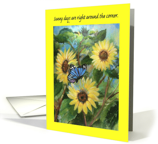 Sunflowers, Butterfly, get well card (1743186)