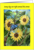 Sunflowers, Butterfly, get well card