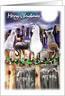 Merry Christmas Cats City Lights Moonlight Holly Christmas Lights card
