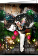 Sleeping Kitty & Faery Holiday Card