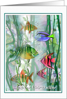 Birthday tropical Fishes, Colorful Birthday ART card