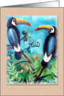Whimsical Toucons, Hello card