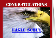 Congratulations Eagle Scout card