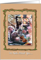 NUTS ABOUT YOU!, Squirrel Art card