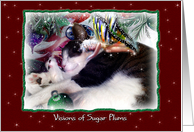 Sleeping Christmas Fairy and Kitty card