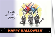 Happy Halloween from us, Whimsical Cats card