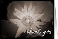 Thank You :...