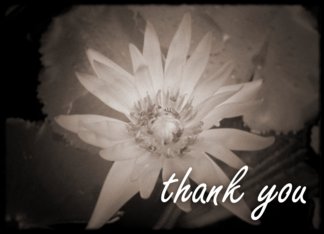 Thank You :...