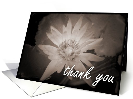 Thank You : employee appreciation card (705855)