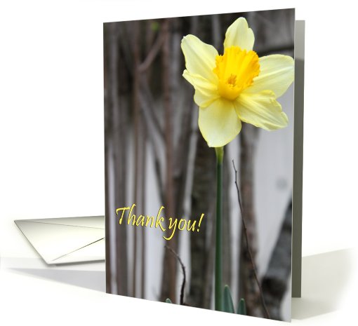 thank you for being my flower girl! : Daffodil card (761373)