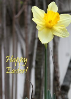 happy easter :...