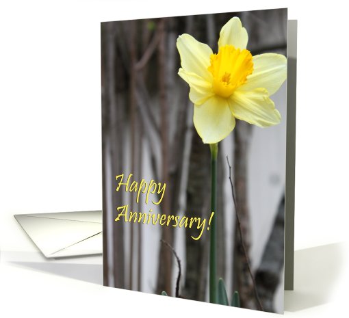 happy anniversary! invitations : Daffodil card (761441)