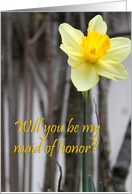 Wedding Maid of Honor Request : Daffodil card