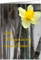 Sister Wedding Maid of Honor Request : Daffodil card