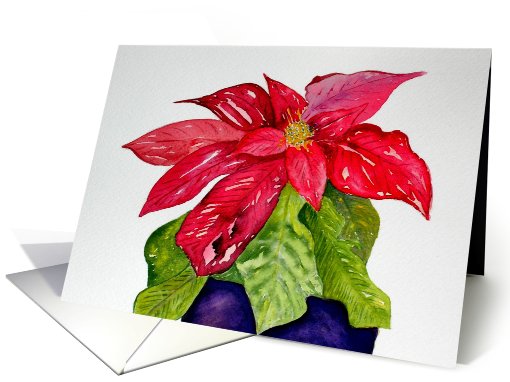 Christmas, Red Poinsettia card (705807)