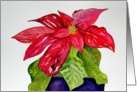 Christmas, Red Poinsettia card