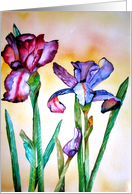 Mother’s Day card