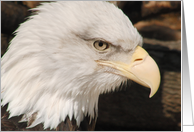 Welcome Home, Military, Bald Eagle card