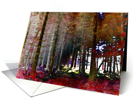 Enchanted Forest at christmas card (707170)