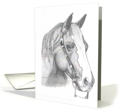 Quarter Horse card (707507)