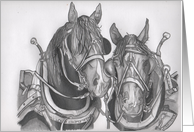 Belgian Horses in pencil card