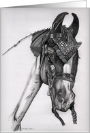 Marwari Horse card