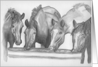 Invitation - Horses around the watering trough card