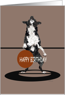 HAPPY BIRTHDAY DOG PLAYING BASKETBALL card