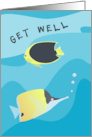 Tropical Reef Fish Get Well card