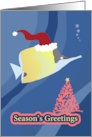 Butterfly Fish Season’s Greetings card