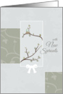 New Sprouts First Mother’s Day card