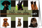 Walk Run Play Father’s Day From Pets card