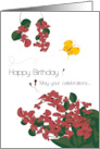 Happy Birthday Bougainvillea card