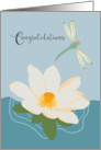 Congratulations Dragonfly Water Lily card