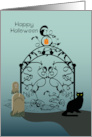 Halloween Graveyard Gate with Black Cat card