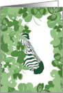 St. Patrick’s Day Zebra Wildly Lucky Shamrocks card