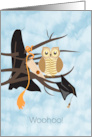 Owl on Branch with Graduation Robe and Degree Congratulations card