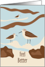 Sandpipers on Beach Feel Better Get Well card
